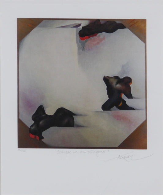 Cuerpos en un octágono